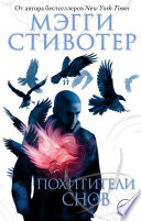 Постер «Похитители снов»