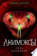 Постер «Пять Осколков»