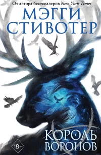 Постер «Король воронов»