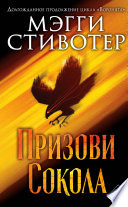 Постер «Призови сокола»